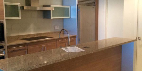 Star Tower – Kitchen