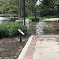 Lake Eola Flooding