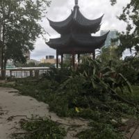 Lake Eola Gazebo Debris