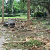 Lake Eola Park Debris