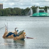 Lake Eola Turtle & Bird on Broken Palm Tree